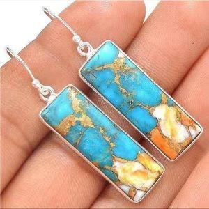 NWOT Turquoise/Silver/Tan Colored Earrings.